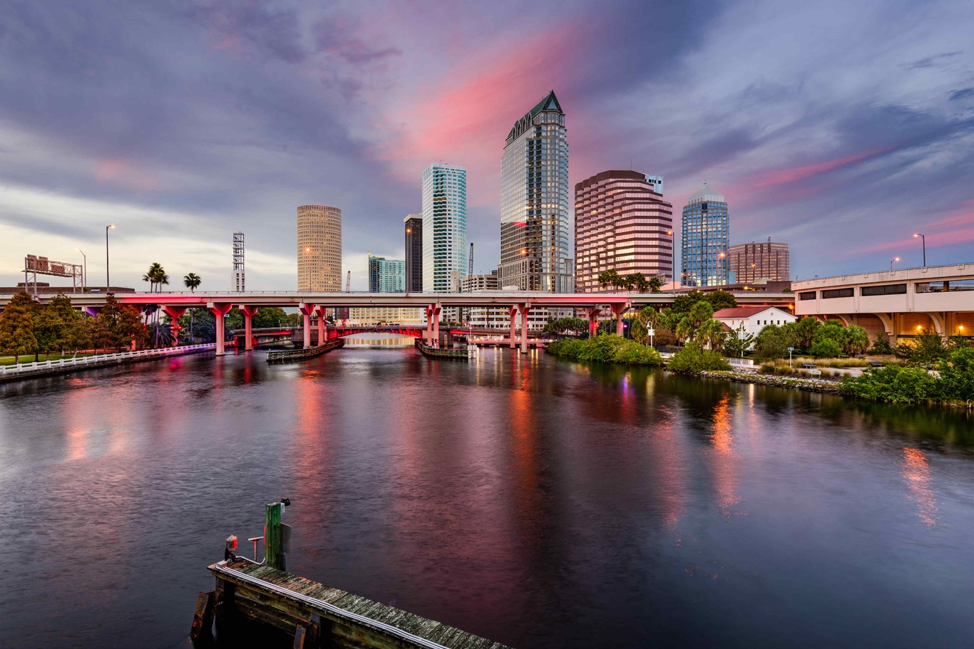 Discover what Tampa has to offer